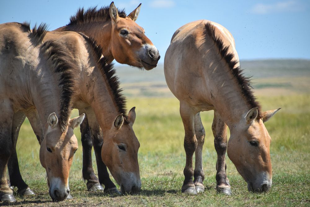 Photograph by Ирина Курьянович