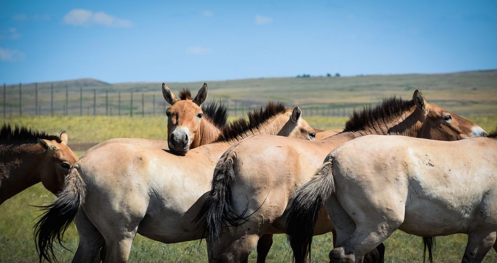 Photograph by Ирина Курьянович