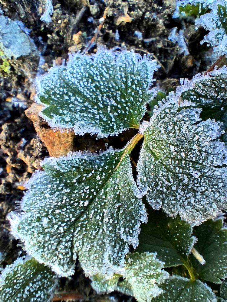 Photograph by Лена