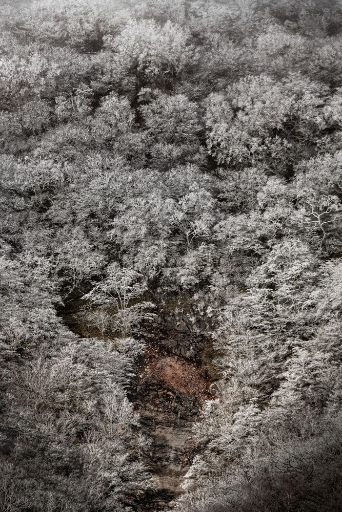 Photograph by 岩本 レイナ