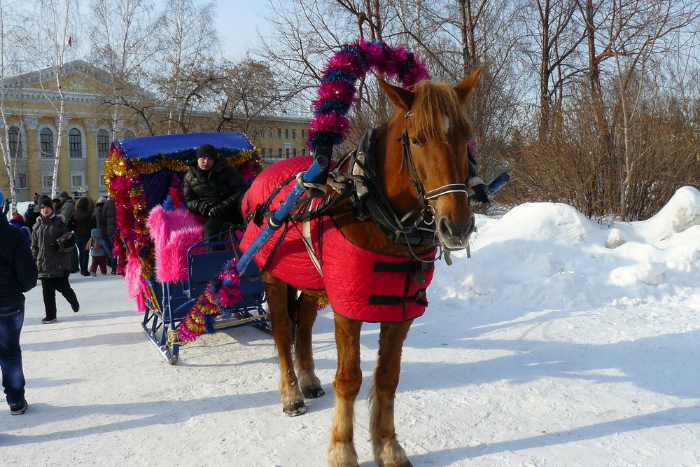 В праздничной упряжке