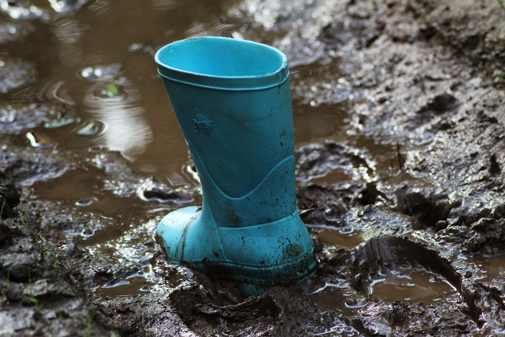 Photograph by Елена Наленч