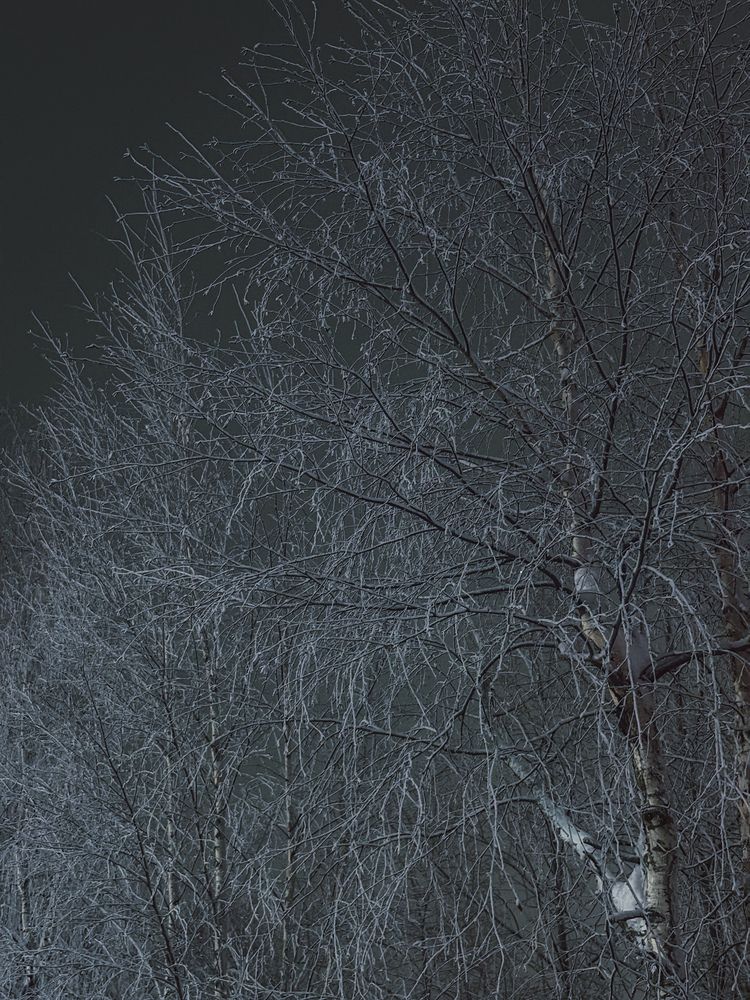 Photograph by Марина Харитонова