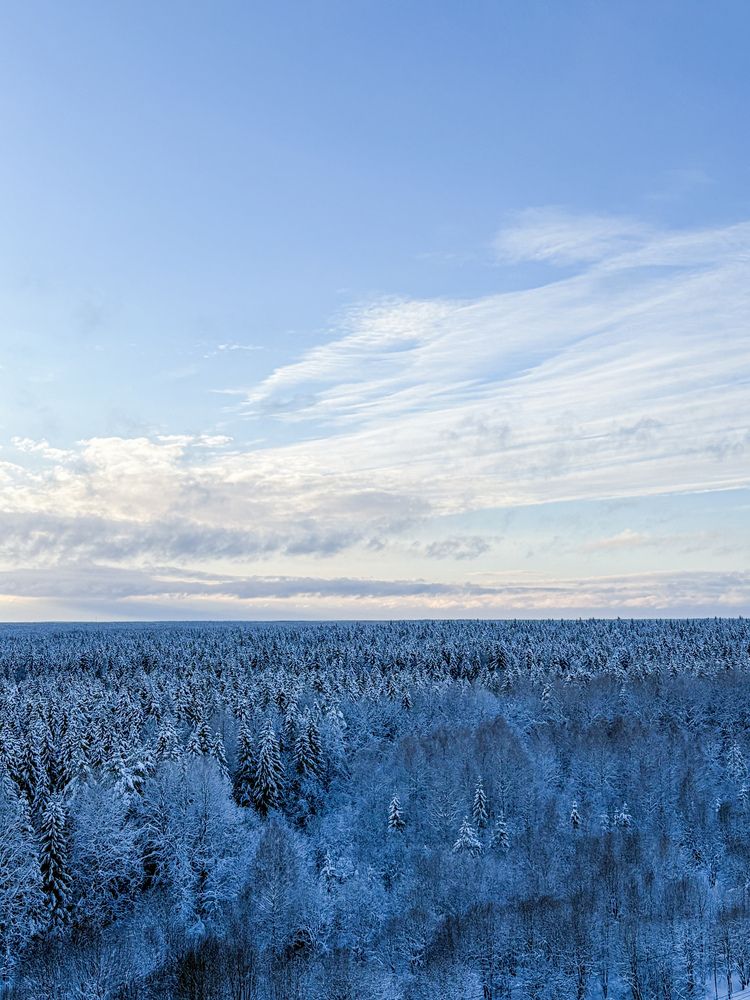 Photograph by Марина Харитонова