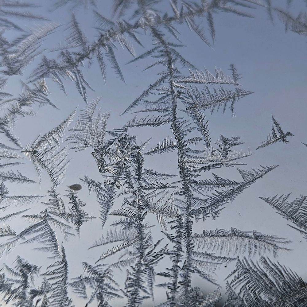 Photograph by Александр Осинцев