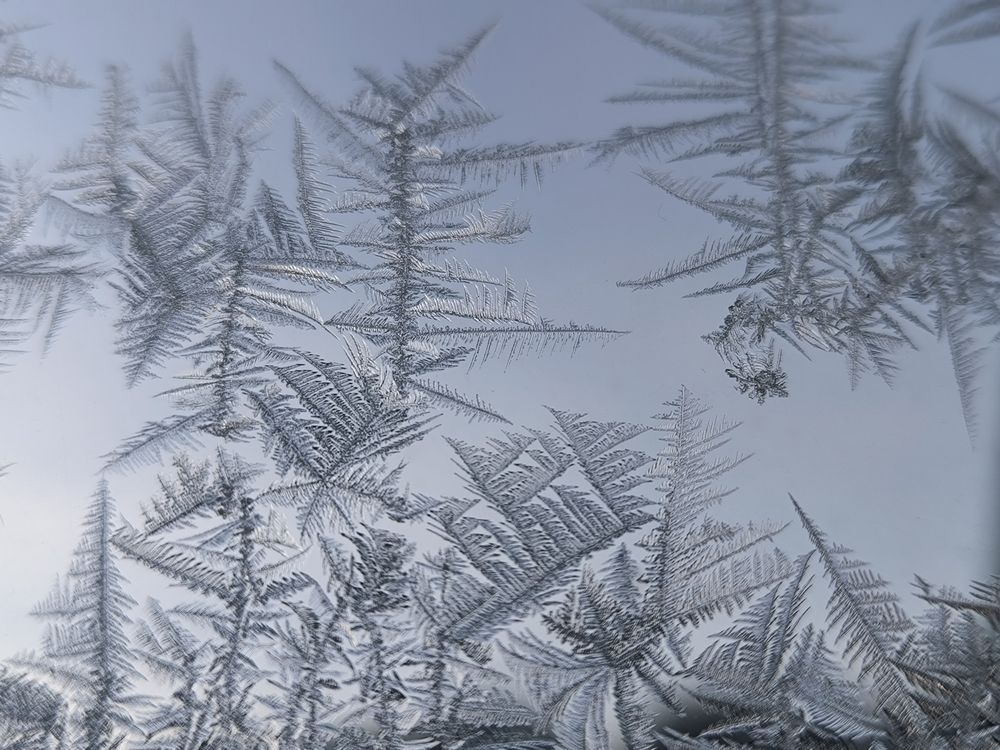 Фотография автора Александр Осинцев