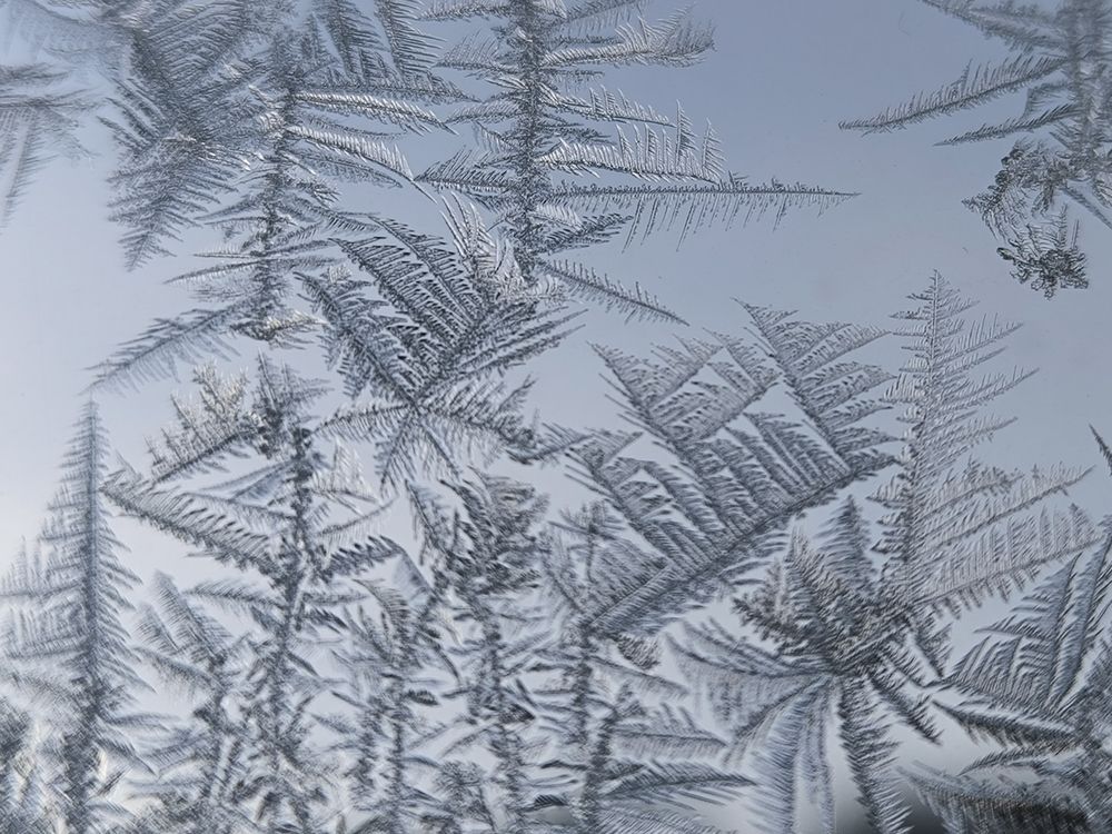 Фотография автора Александр Осинцев