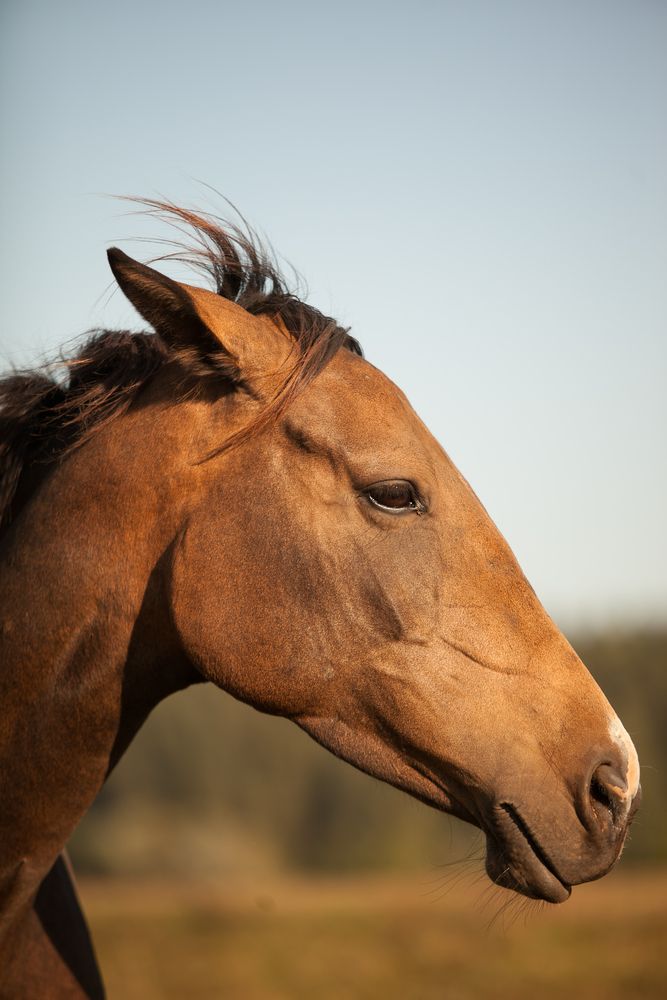 Photograph by Лолита Богачева