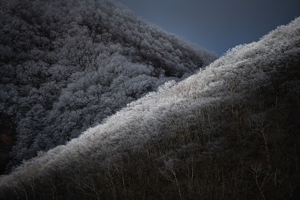 Photograph by 岩本 レイナ