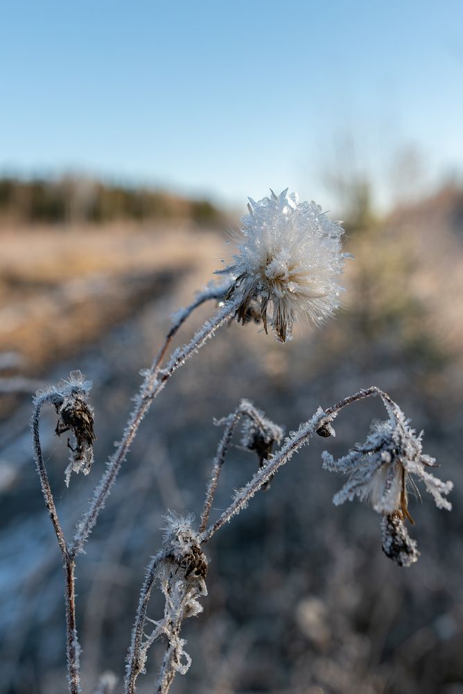 Photograph by Альварис Сукманюк