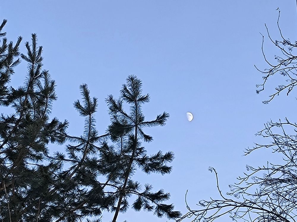 Фотография автора Александр Осинцев