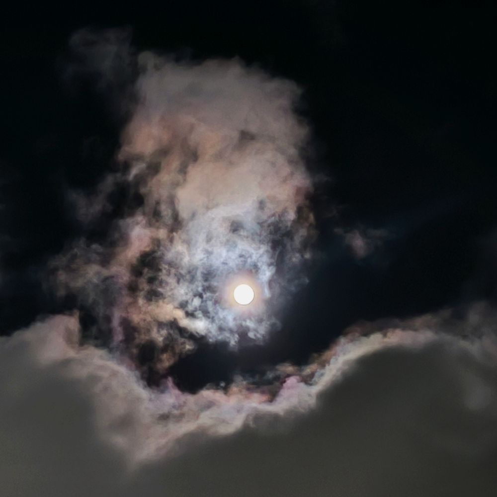 Фотография автора Александр Осинцев