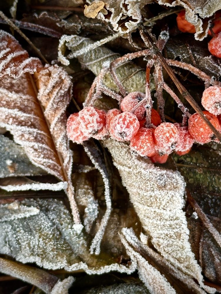 Photograph by Ольга Белопухова