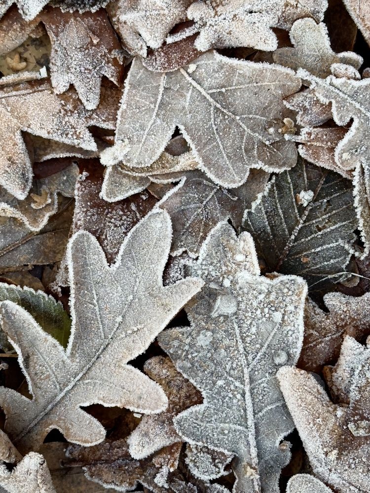 Photograph by Ольга Белопухова