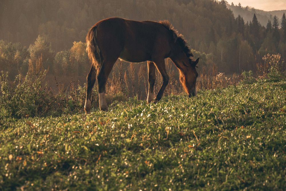 Фотография автора Оксана Батракова