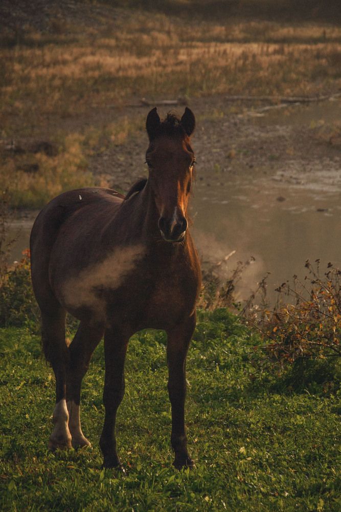 Фотография автора Оксана Батракова