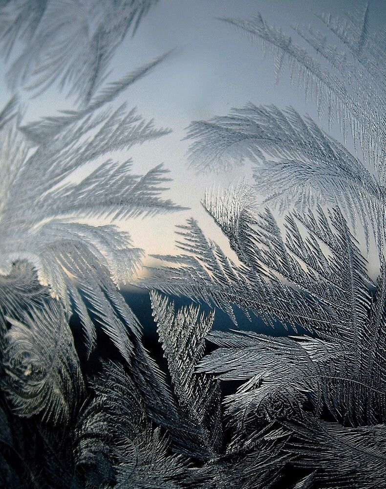 Photograph by Зоя Быкова