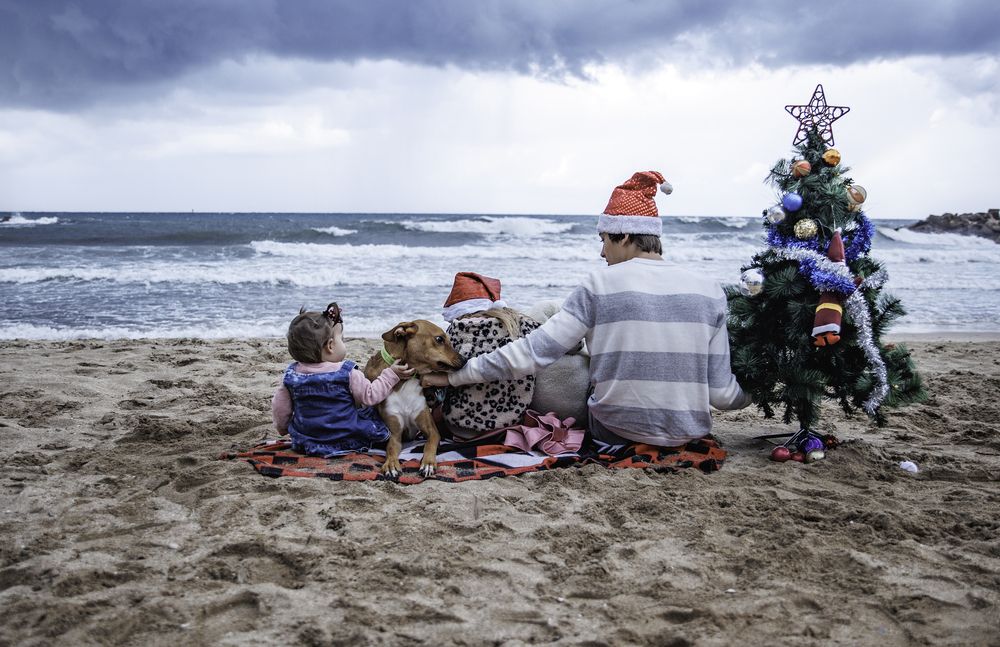 Photograph by Alina Gurfinkel