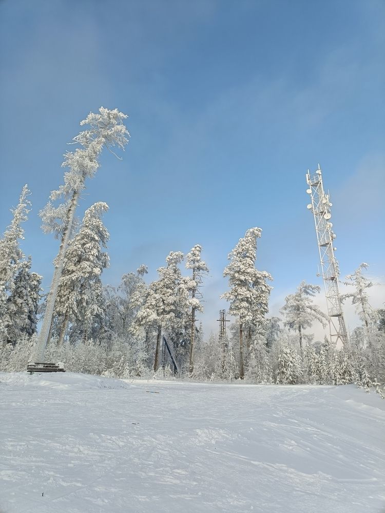 Фотография автора Кристина Киселёва