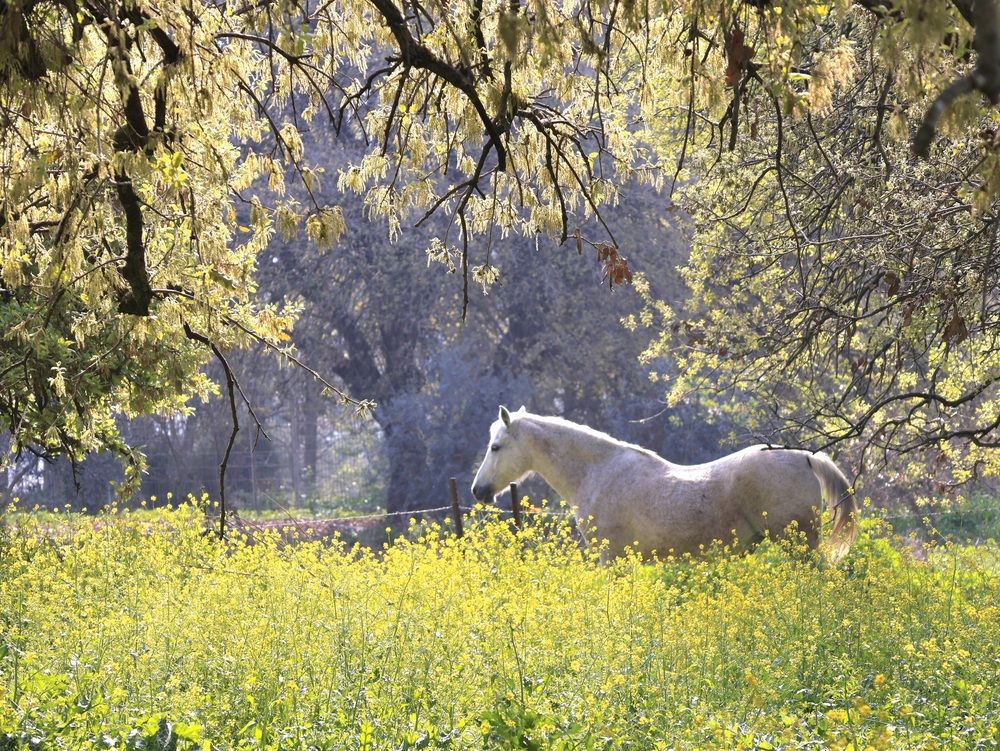 Photograph by Светлана Ханина