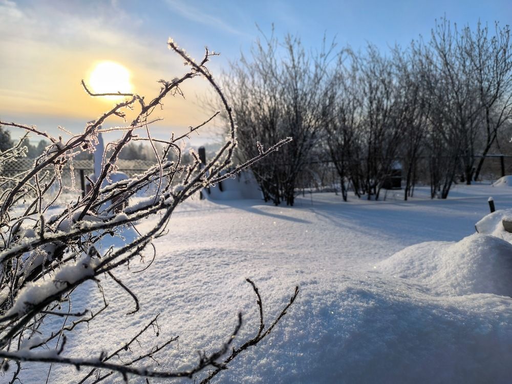 Photograph by Ирина Немкина