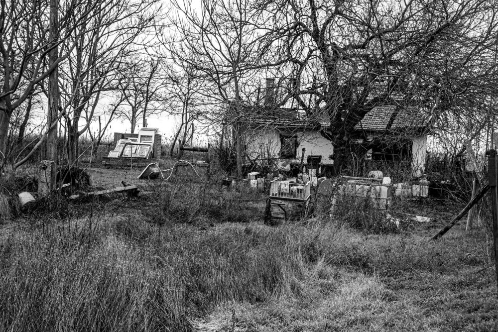 Photograph by Gyula Sziládi