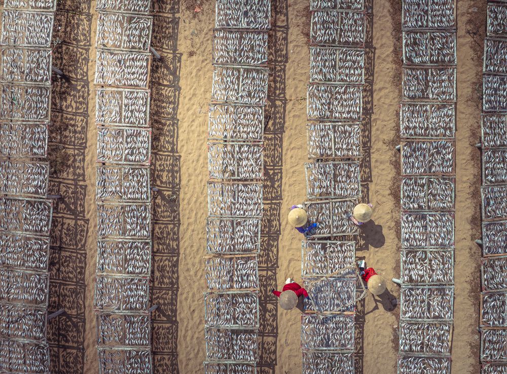 Photograph by Tran Phuong