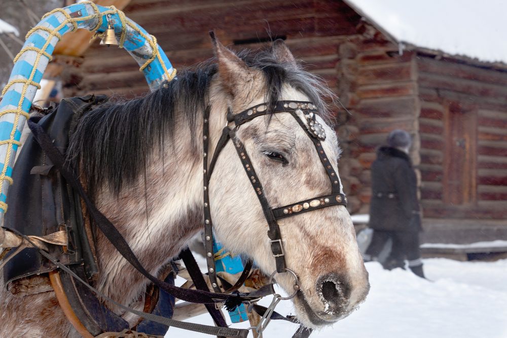 Photograph by Денис Дорошенко