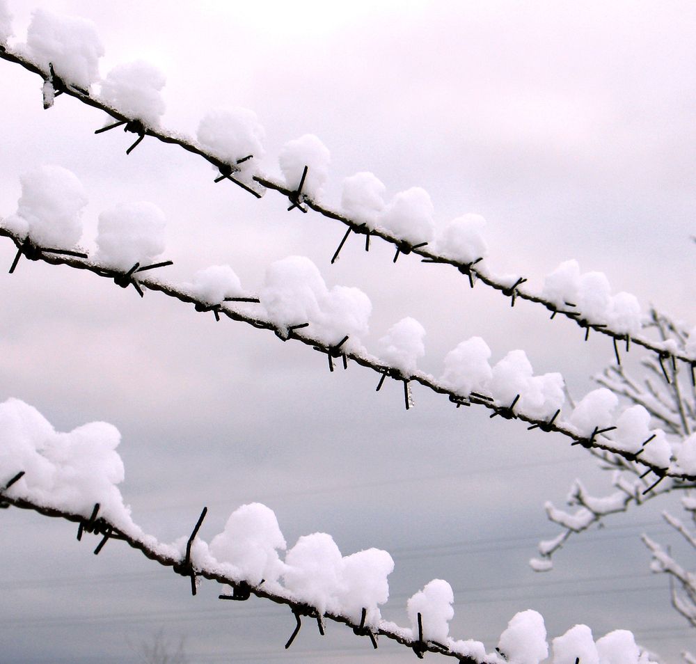 Photograph by Pavel Gukov