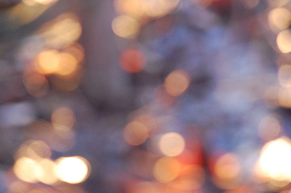 Photograph by Владислав Рубцов