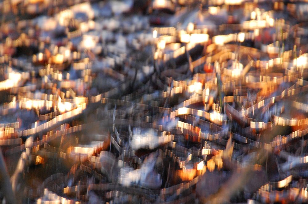 Photograph by Владислав Рубцов