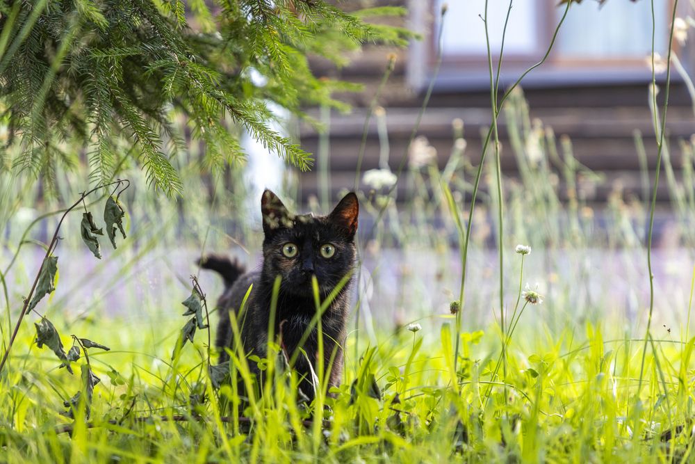 Photograph by Дмитрий Константинов