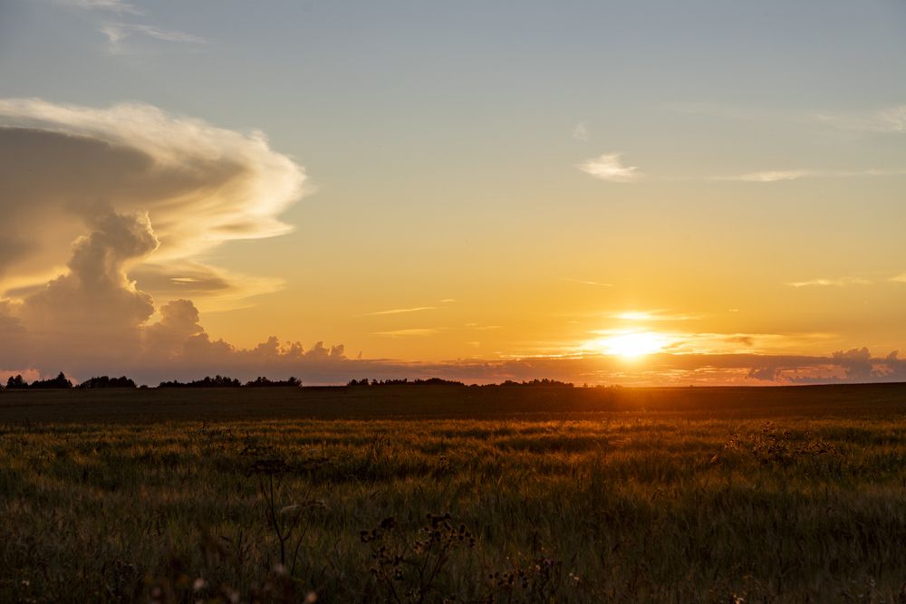 Photograph by Дмитрий Константинов