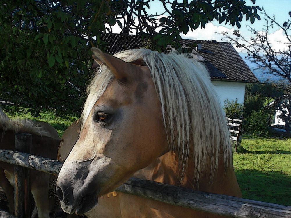 Photograph by Анастасия Смирнова