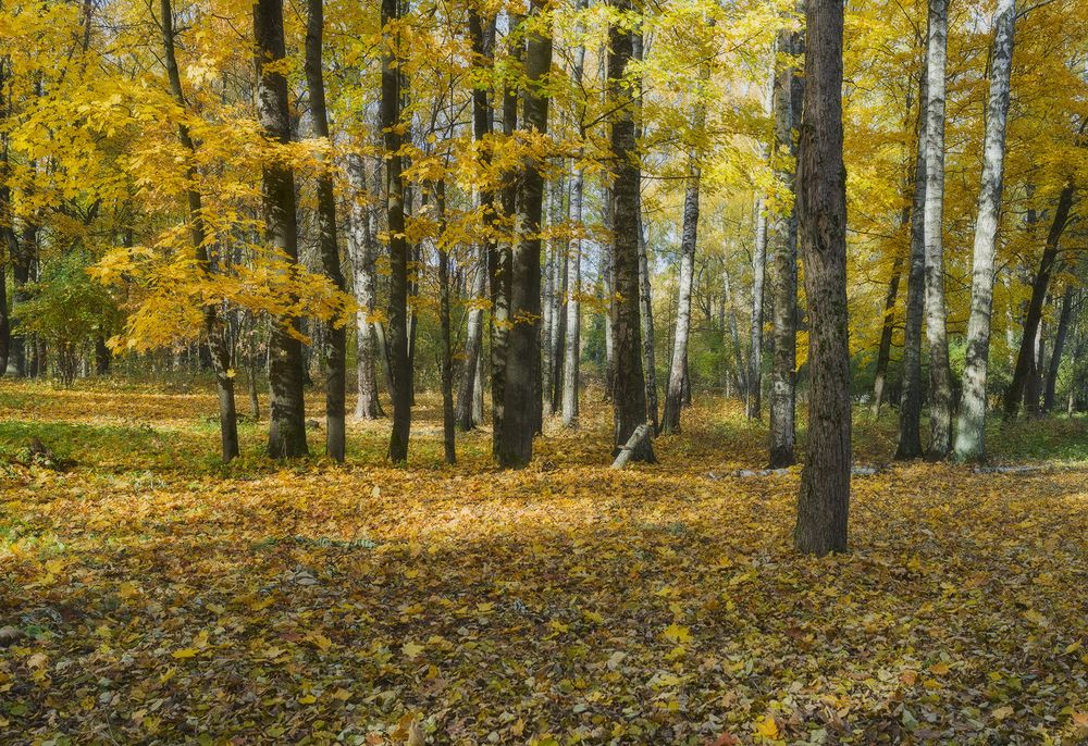 Осень.