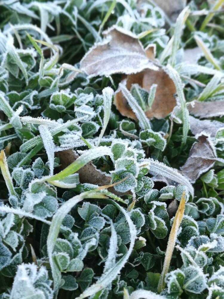 Photograph by Luba Kurchina