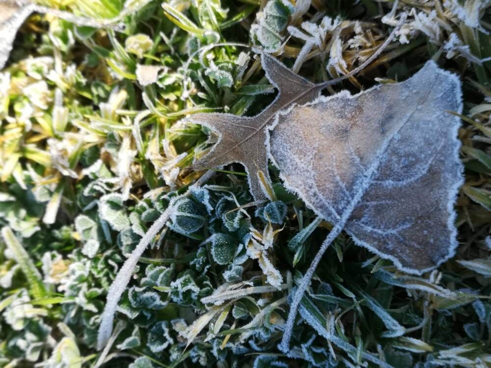 Photograph by Luba Kurchina