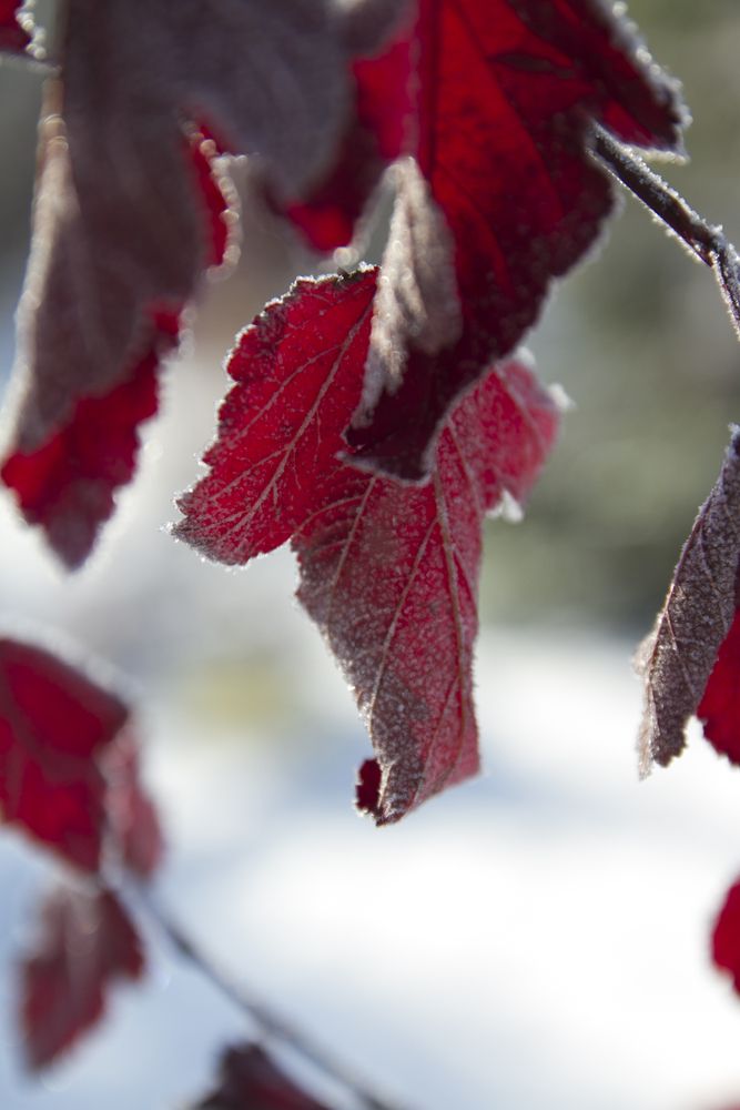 Фотография автора Анастасия Додрова
