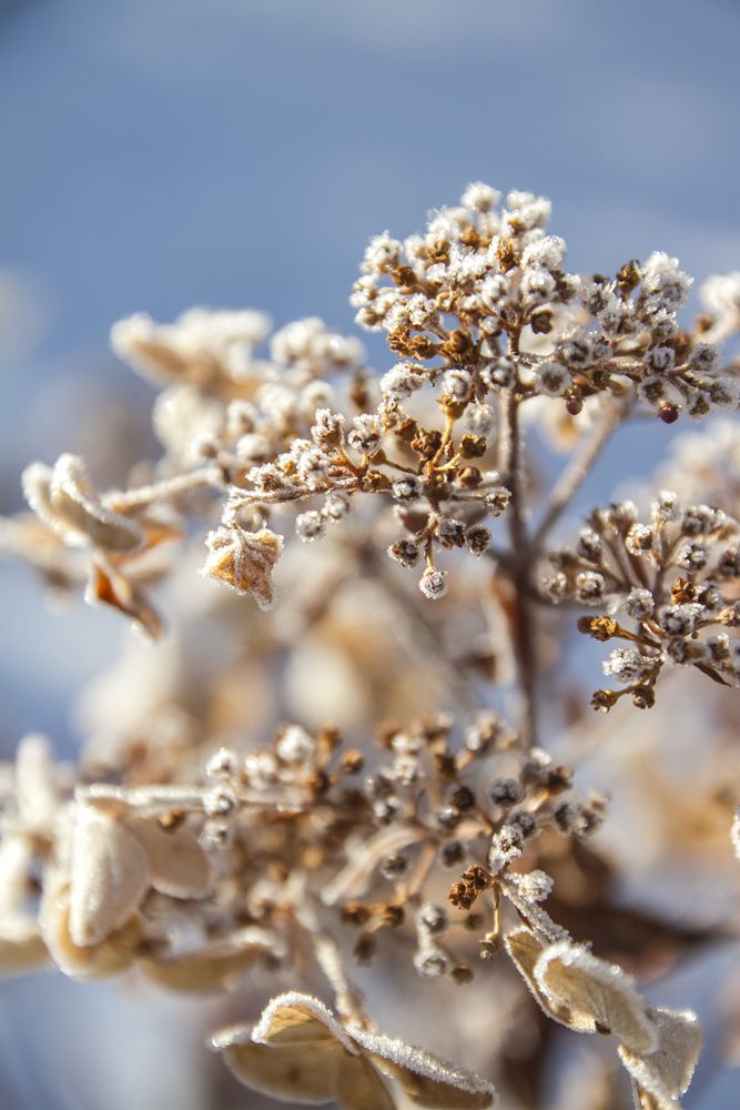 Фотография автора Анастасия Додрова