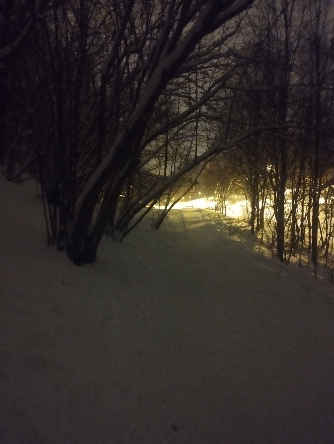 Photo #13027441