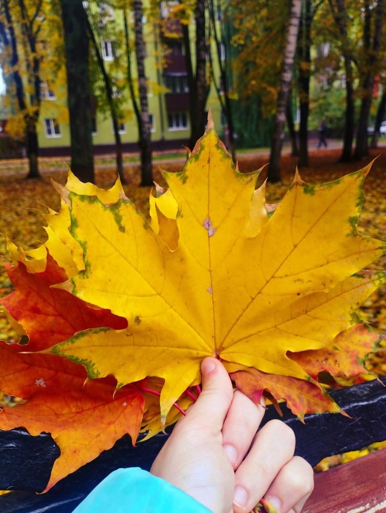 Photograph by Ангелина Каплий