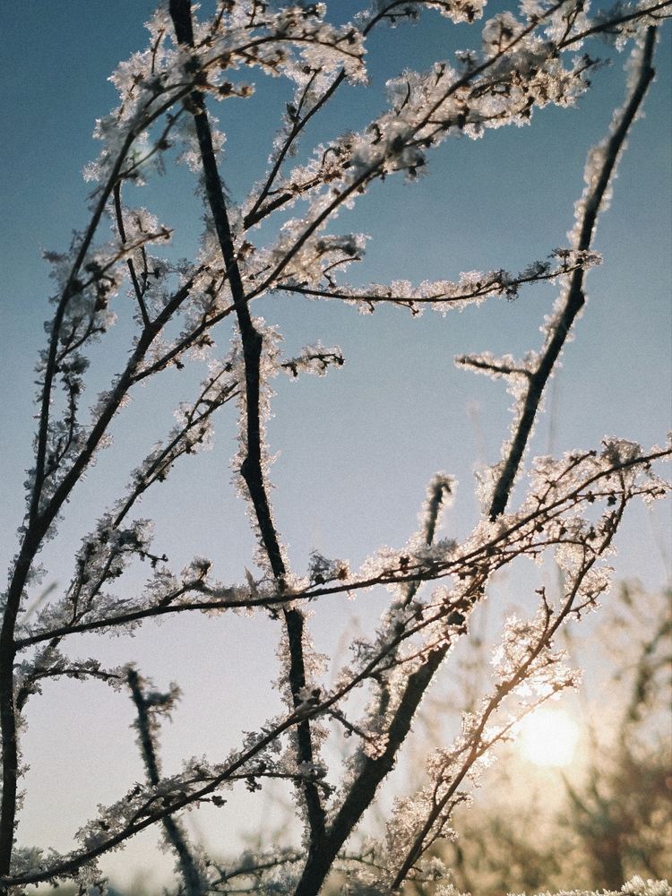 Photograph by Ксения Орлова