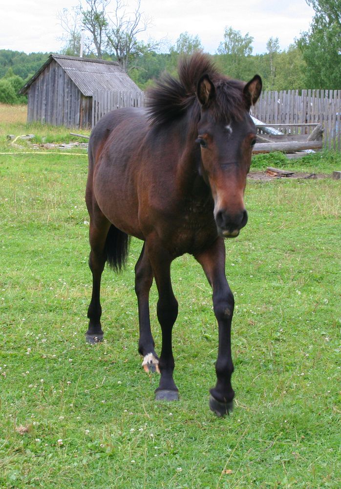 Photograph by Татьяна Пашинцева