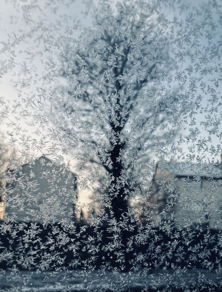 Photograph by Rozaliya Volosevich