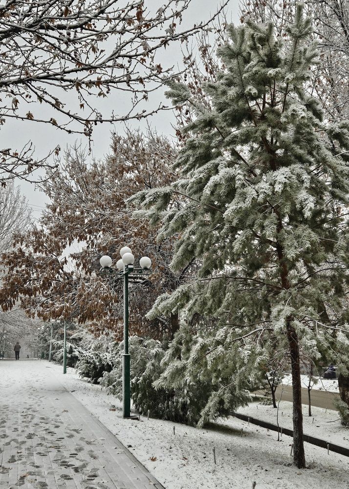 Photograph by Alena Redko