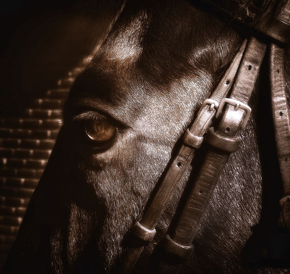 Photograph by Viviana García