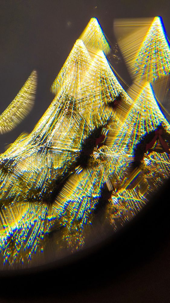 Photo #13027551