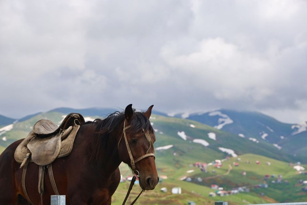 Photograph by Марина Иванникова