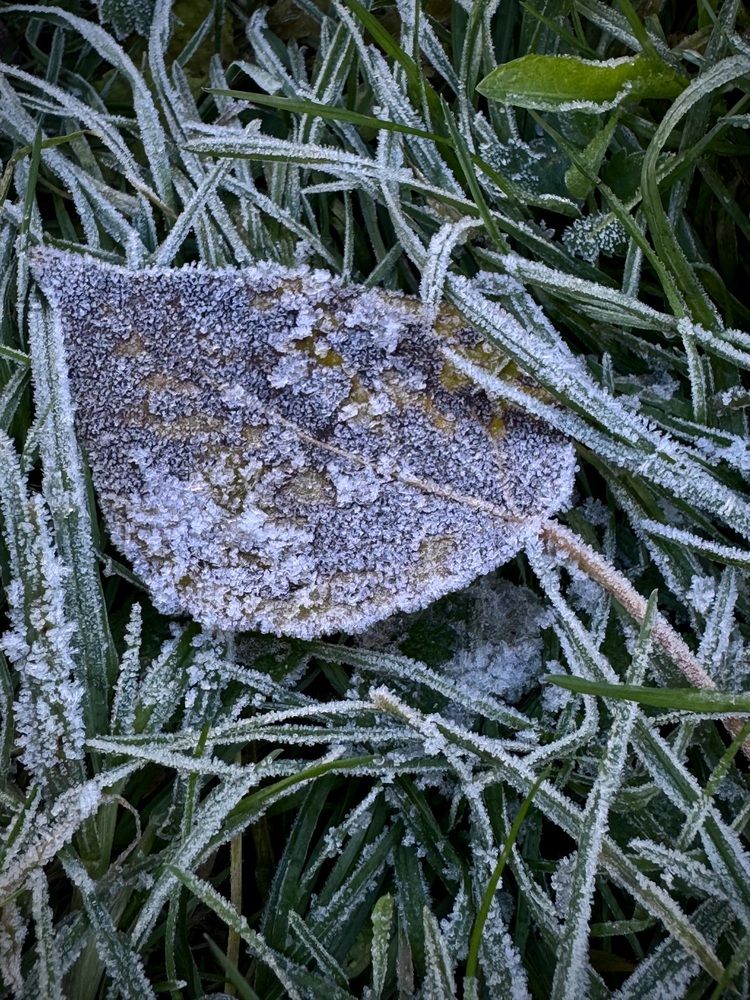 Photograph by Арина Бурда