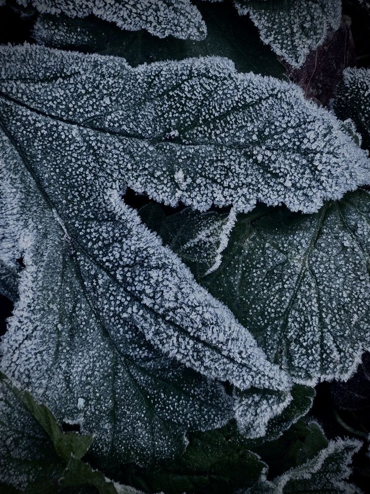 Photograph by Арина Бурда